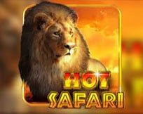 Hot Safari